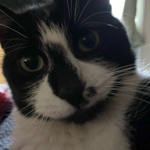 Meet your Posher, Naomi